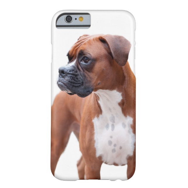 BoxerhundiPhone 6 Fall Case-Mate iPhone Hülle (Rückseite)