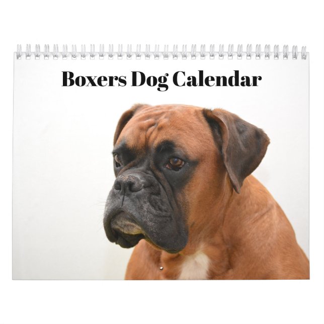 Boxers Dogs 2025 Kalender (Titelbild)