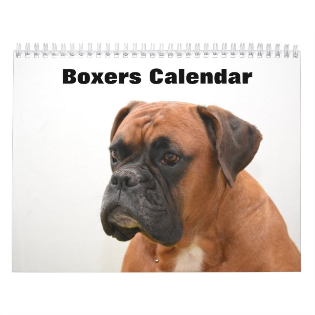 Boxers Dogs 2025 Kalender (Titelbild)