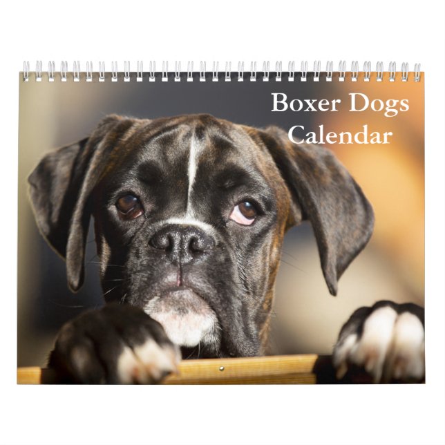 Boxers Dogs 2025 Kalender (Titelbild)