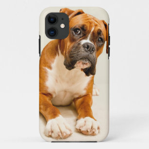 Boxerwelpe auf Elfenbeincremehintergrund iPhone 11 Hülle