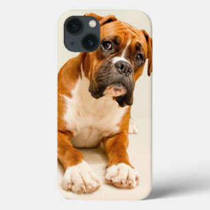 Boxerwelpe auf Elfenbeincremehintergrund Case-Mate iPhone Hülle