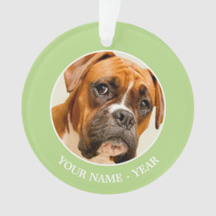 Boxerwelpe auf Elfenbeincremehintergrund Ornament