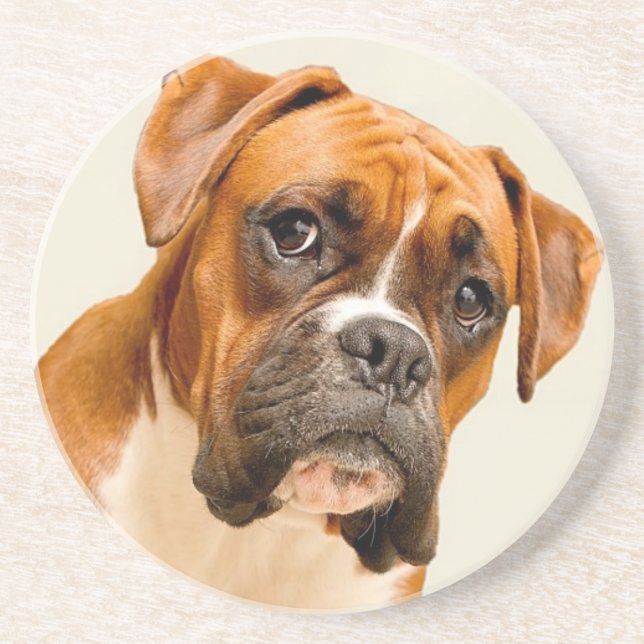 Boxerwelpe auf Elfenbeincremehintergrund Untersetzer (Vorne)
