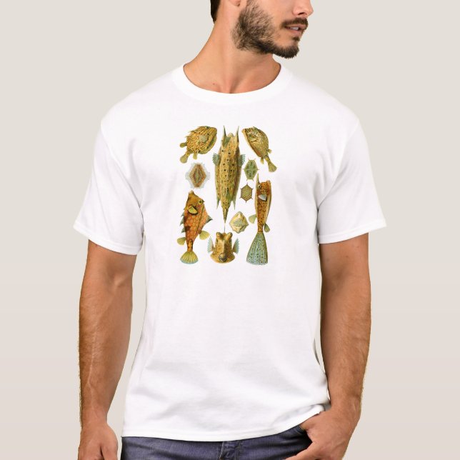 Boxfish oder Cowfish T-Shirt (Vorderseite)