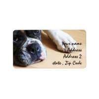 Boxhund