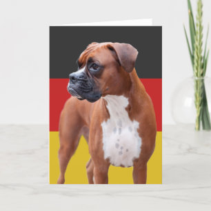 Boxhund Karte