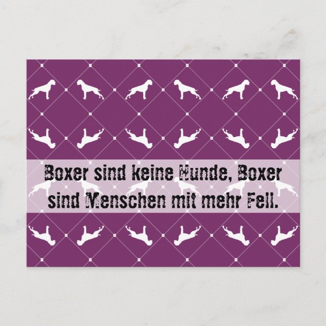Boxhunde Postkarte (Vorderseite)