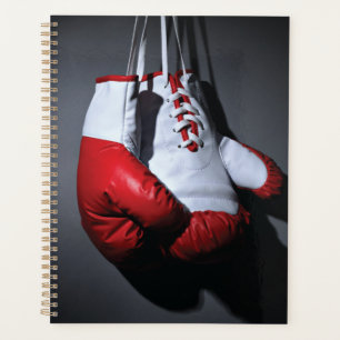 Boxing gloves planer
