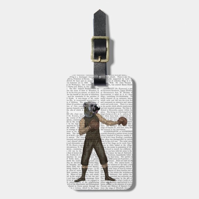 Boxschiff Bulldog Full Gepäckanhänger (Vorderseite vertikal)