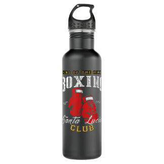 Boxsport 939 edelstahlflasche