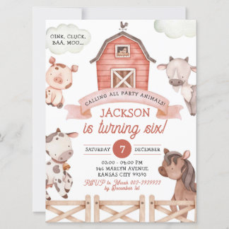 Boy Farm Party Tiere Geburtstag Einladung