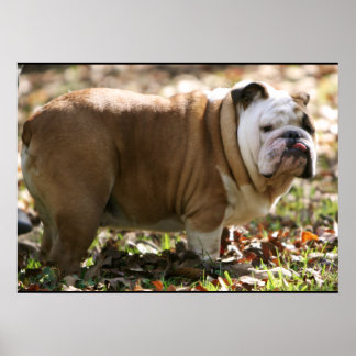 Boy Named Sue Poster