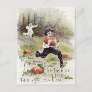 Boy Pumpkin Patch Ghost Costume Postkarte
