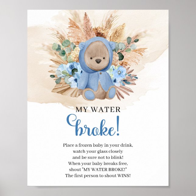 Boy Teddy Bär tropisches My Water Broke Spiel-Schi Poster (Vorne)