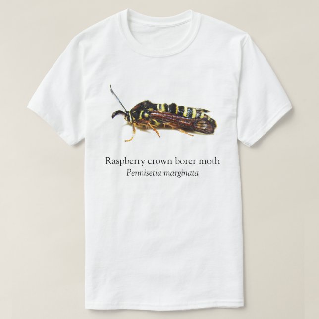 BOYB Raspberry Crown Borer T-Shirt (Design vorne)