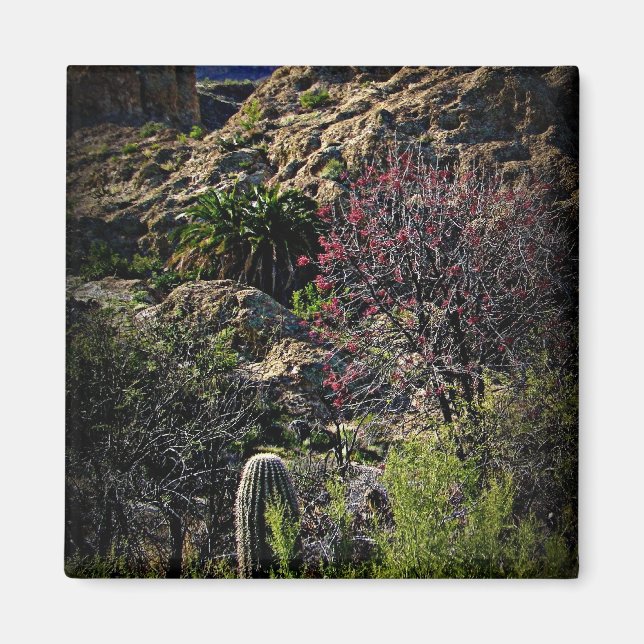 Boyce Thompson Arboretum Magnet (Vorne)