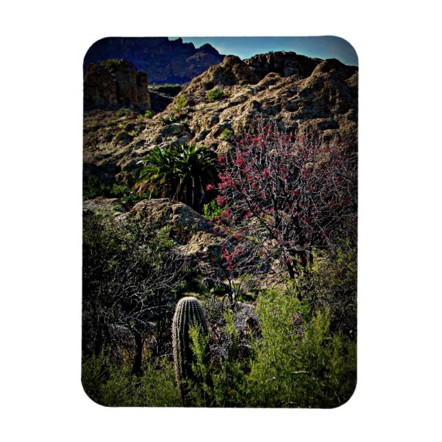 Boyce Thompson Arboretum Magnet (Vertikal)