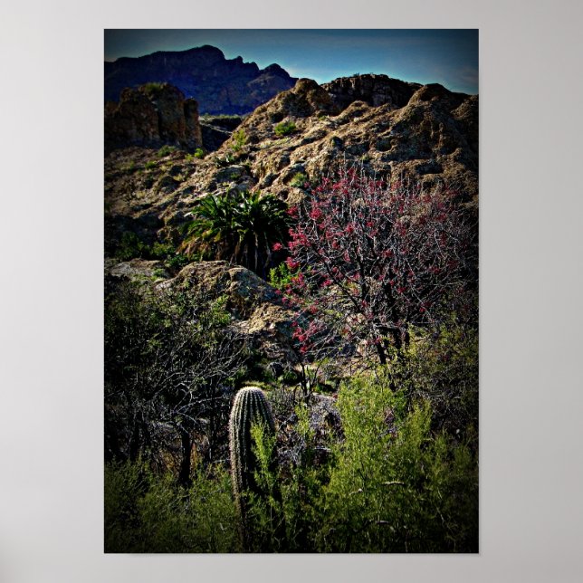 Boyce Thompson Arboretum Poster (Vorne)