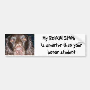 BOYKIN SPANIEL AUTOAUFKLEBER