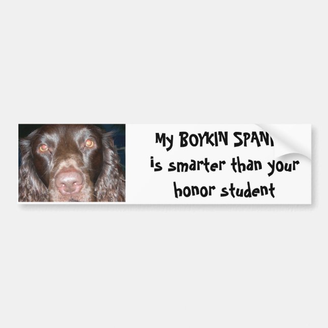 BOYKIN SPANIEL AUTOAUFKLEBER (Vorne)