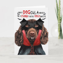Boykin Spaniel Dog Funny Count DOGcula Halloween