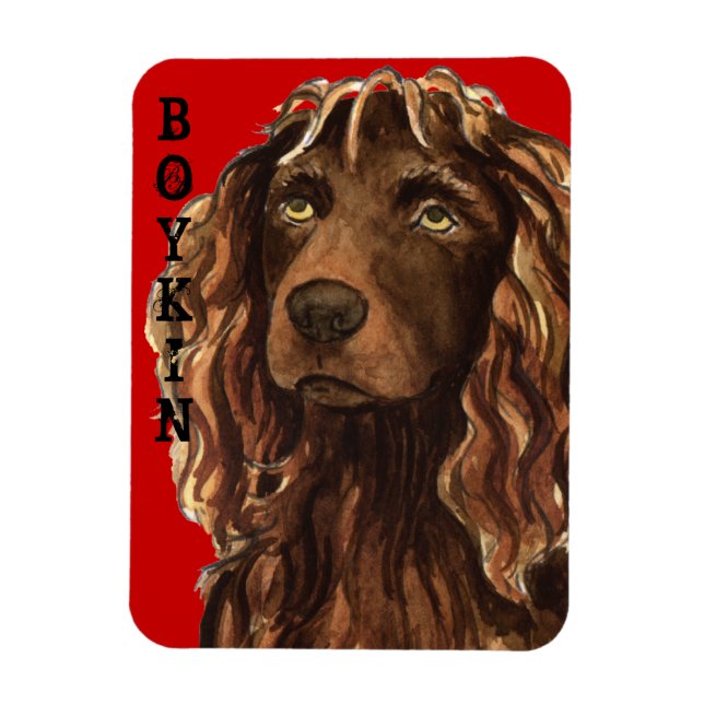 Boykin Spaniel Farbblock Magnet (Vertikal)