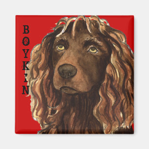 Boykin Spaniel Farbblock Magnet