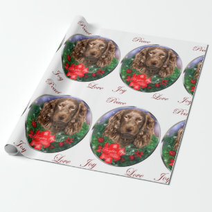 Boykin Spaniel-frohe Weihnachten Geschenkpapier