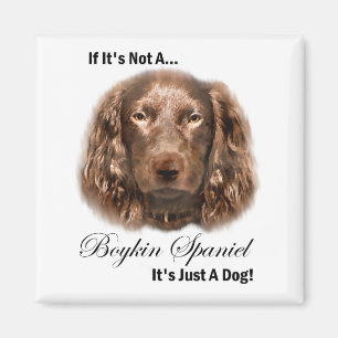 Boykin-Spaniel-Geschenke Magnet