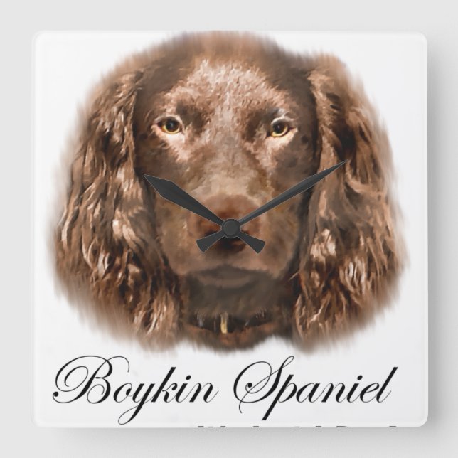 Boykin-Spaniel-Geschenke Quadratische Wanduhr (Vorderseite)