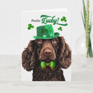 Boykin Spaniel Hund Glücklicher St. Patrick's Day Feiertagskarte