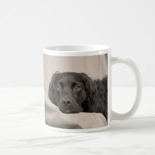 Boykin Spaniel-Kaffee-Tasse Kaffeetasse