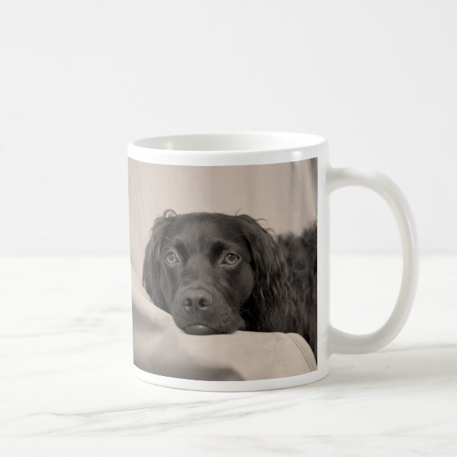 Boykin Spaniel-Kaffee-Tasse Kaffeetasse (Rechts)