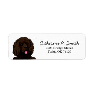 Boykin Spaniel Rücksendeadresse