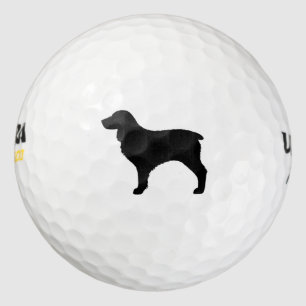 Boykin Spaniel Silhouette Golfball