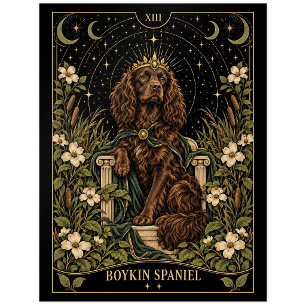Boykin Spaniel, Sternen-Tarot-Kunst Postkarte