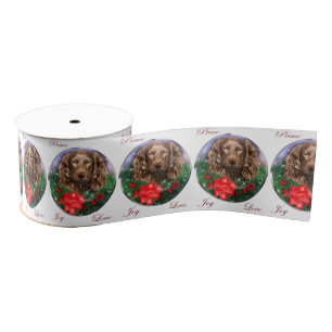 Boykin Spaniel Weihnachten Ripsband