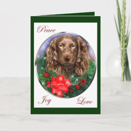 Boykin Spaniel-Weihnachtsgeschenke Feiertagskarte