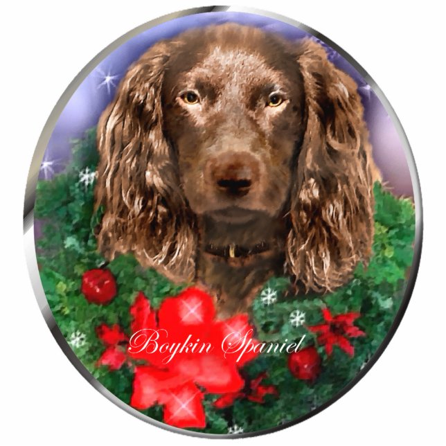 Boykin Spaniel Weihnachtsgeschenke Ornament Fotoskulptur Ornament (Vorne)