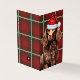 Boykin Spaniel Weihnachtshund mit Holiday Kariert