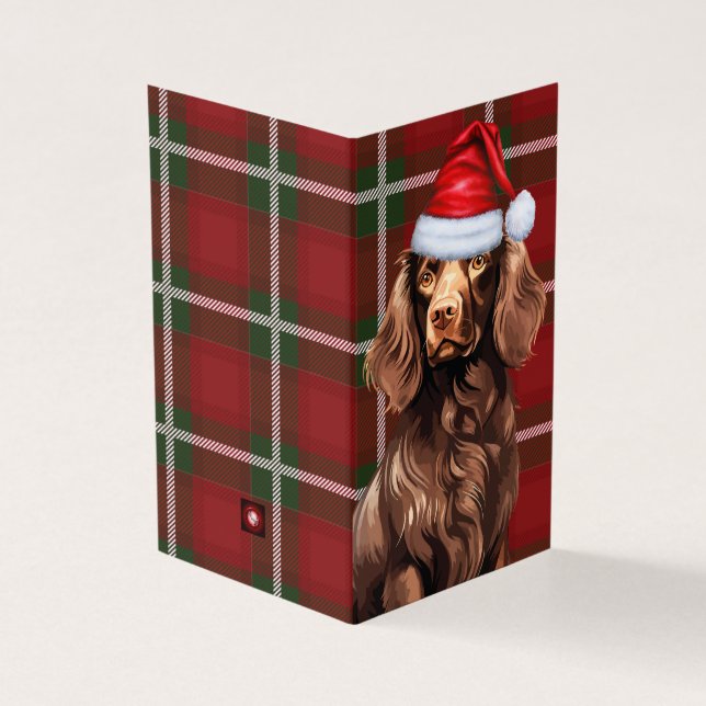 Boykin Spaniel Weihnachtshund mit Holiday Kariert (Vorderseite)