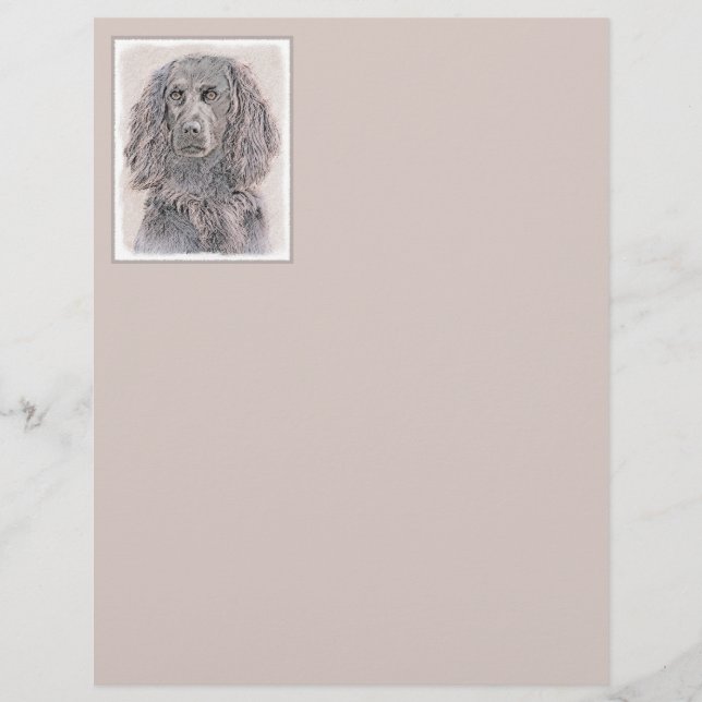 Boykin Spanischmalerei - Niedliche Original Dog Ar (Vorderseite)