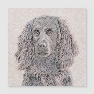 Boykin Spanischmalerei - Niedliche Original Dog Ar Magnetkarte