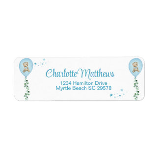 Boys Bear Blue Balloon Eucalyptus Baby Dusche