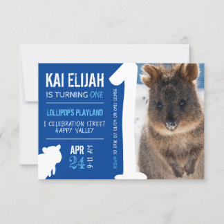 Boys First Birthday Blue Quokka Australien Foto Einladung
