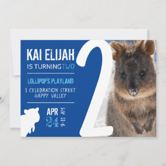 Boys Second Birthday Blue Quokka Australia Photo Einladung