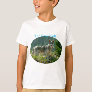 Boys T - Shirt