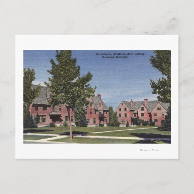 Bozeman, Montana - Dormitorien am Staat Montana Postkarte (Vorderseite)