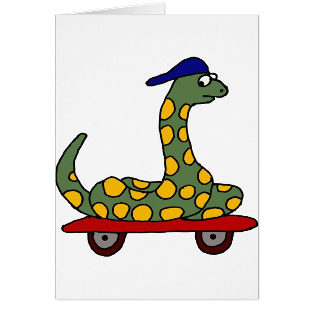 BR Boa constrictorSkateboarding (Vorne)